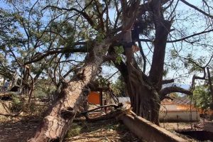 आज पनि देशका विभिन्न स्थानमा हावाहुरी र चट्याङको सम्भावना