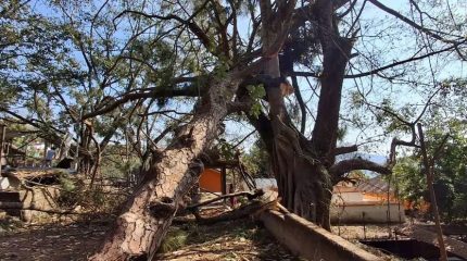 आज पनि देशका विभिन्न स्थानमा हावाहुरी र चट्याङको सम्भावना