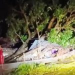 झापामा हावाहुरीले ढालेको रुखले लाग्दा घरभित्र सुतिरहेकी किशोरीको मृत्यु