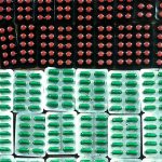 धरानबाट प्रतिबन्धित लागूऔषधसहित चार जना पक्राउ