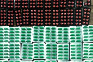 धरानबाट प्रतिबन्धित लागूऔषधसहित चार जना पक्राउ