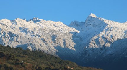 हिउँले ढाकियो ताप्लेजुङका डाँडापाखा