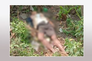 धनकुटाको तेलियामा फलैचाबाट लडेर एक जनाको मृत्यु