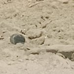 सुन्दरहरैंचास्थित पूर्व-पश्चिम राजमार्गमा भेटिएको वस्तु बम नभएको पुष्टि