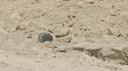 सुन्दरहरैंचास्थित पूर्व-पश्चिम राजमार्गमा भेटिएको वस्तु बम नभएको पुष्टि