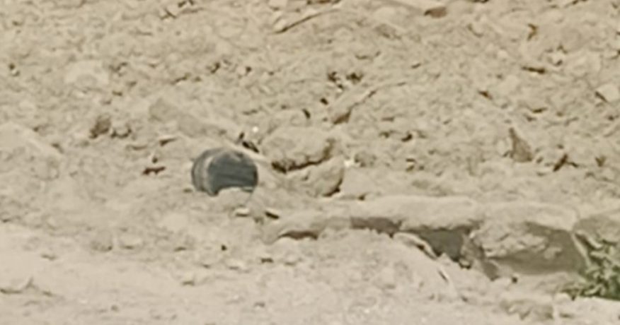 सुन्दरहरैंचास्थित पूर्व-पश्चिम राजमार्गमा भेटिएको वस्तु बम नभएको पुष्टि