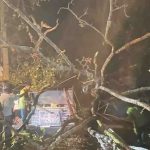 उदयपुरमा हावाहुरीका कारण २ जनाको मृत्यु