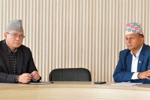 एमालेले घोषणा गर्यो देशव्यापी प्रदर्शनका कार्यक्रम