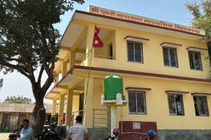 एसईईमा भाउजूको परीक्षा दिइरहेको अवस्थामा नन्द पक्राउ