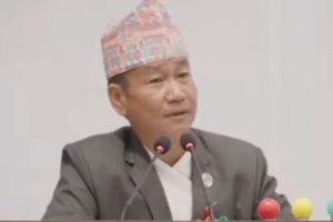 सत्ता पक्ष र साना दलबीच संसद्मा विभेद छ : हर्क साम्पाङ