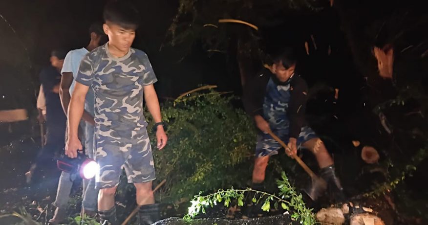 सुनसरीमा हावाहुरीले रूख ढाल्दा किचिएर दुई जना घाइते