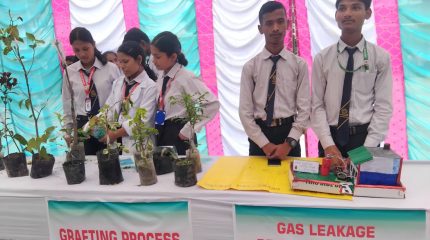 विराटनगरको ग्रिनल्याण्ड कलेजमा एक विद्यार्थी, एक सीप कार्यक्रम