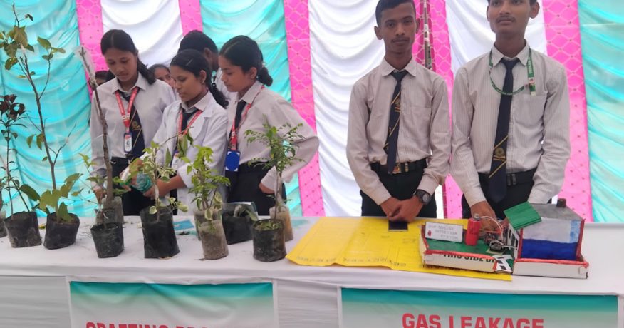 विराटनगरको ग्रिनल्याण्ड कलेजमा एक विद्यार्थी, एक सीप कार्यक्रम