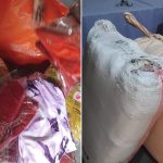 इटहरीबाट अढाइ लाख बढीको भन्सार छलीको कपडा बरामद