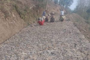 पाख्रीबास-सान्ने सडक खण्डमा काम गर्ने मजदुरले पाएनन् पारिश्रमिक