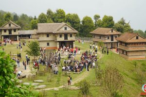 तेह्रथुमको बसन्तपुरमा लालीगुराँस महोत्सव