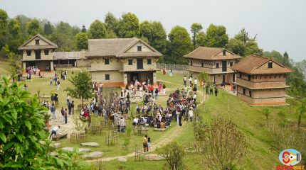 तेह्रथुमको बसन्तपुरमा लालीगुराँस महोत्सव