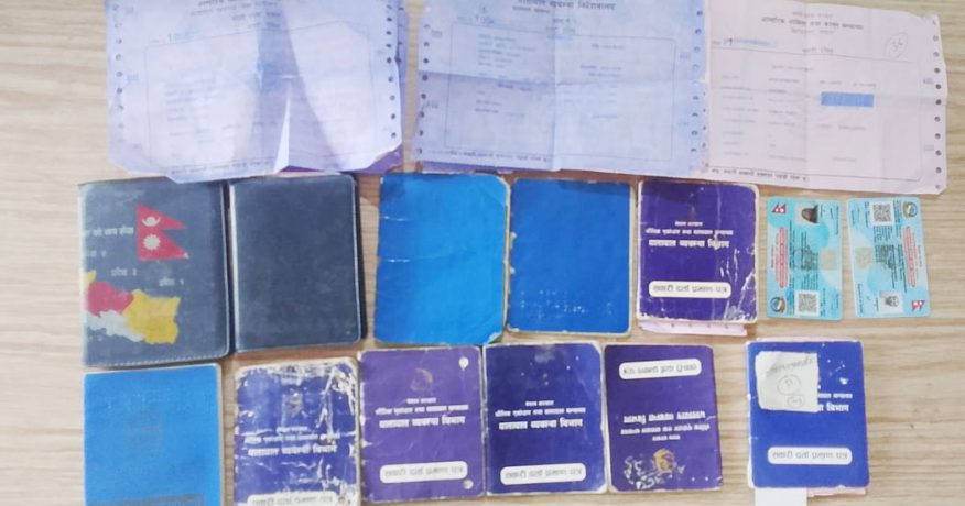 विराटनगरको यातायात कार्यालयमा सरकारी छाप दस्तखत किर्ते, लेखापढी व्यवसायी पक्राउ