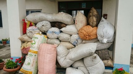 भोजपुरको आमचोकबाट ६२२ किलो गाँजा बरामद