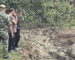 सुनसरीको वराहक्षेत्रमा हात्तीको छावा मृत फेला