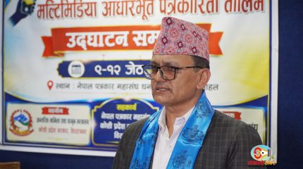 सरकारी सञ्चारमाध्यमलाई मात्रै विज्ञापन दिने निर्णय तत्काल फिर्ता हुनुपर्छ : मन्त्री पराजुली