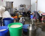 डेरी उद्योगमा स्थापित धनकुटाका राजु, ७ जनालाई प्रत्यक्ष रोजगारी