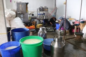 डेरी उद्योगमा स्थापित धनकुटाका राजु, ७ जनालाई प्रत्यक्ष रोजगारी