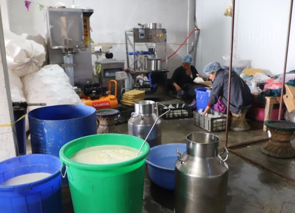 डेरी उद्योगमा स्थापित धनकुटाका राजु, ७ जनालाई प्रत्यक्ष रोजगारी