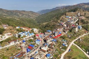 तेह्रथुमको लालीगुराँस नगरमा आज बाँदर धपाउने अभियान, नगरभर सार्वजनिक बिदा