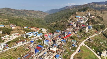 तेह्रथुमको लालीगुराँस नगरमा आज बाँदर धपाउने अभियान, नगरभर सार्वजनिक बिदा