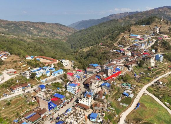 तेह्रथुमको लालीगुराँस नगरमा आज बाँदर धपाउने अभियान, नगरभर सार्वजनिक बिदा