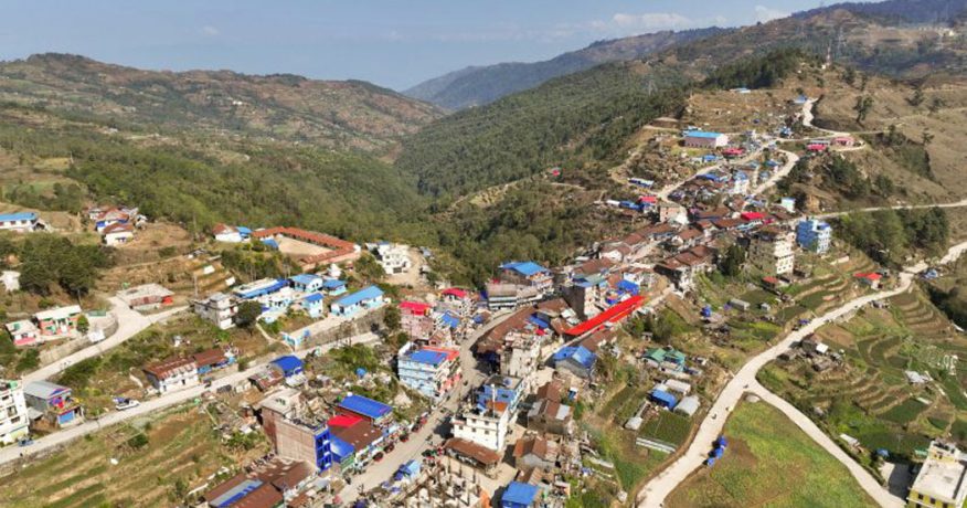 तेह्रथुमको लालीगुराँस नगरमा आज बाँदर धपाउने अभियान, नगरभर सार्वजनिक बिदा