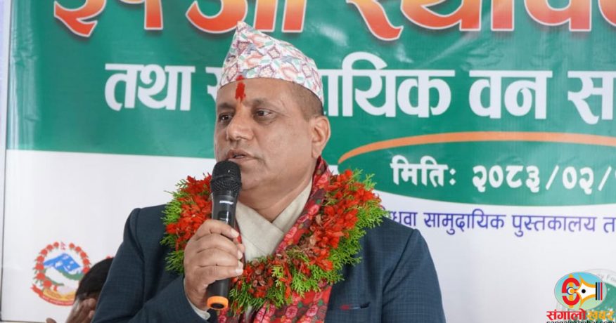 नीतिगत अस्पष्टताले काष्ठजन्य वस्तु उपभोग गर्न समस्या भयो : मन्त्री पराजुली