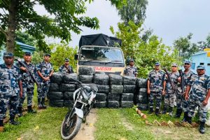 मोरङको जहदाबाट पिकअप गाडीसहित ९२२ किलो गाँजा बरामद
