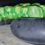 कोशी नदी किनारबाट १६८ किलो गाँजा बरामद
