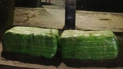 सुनसरीको बराहक्षेत्रबाट बेवारिसे गाँजा बरामद