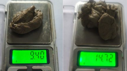 मोरङको उर्लाबारीमा मलद्वारमा लुकाएर ब्राउन सुगर ओसार्ने दुई युवक पक्राउ