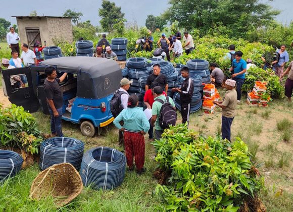 धनकुटाको छथर जोरपाटीको तल्लो भू-भागको बाँझो जमिनमा आँप ब्लक