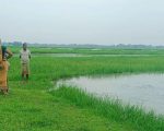 विराटनगरबाट गाँजासहित एक जना पक्राउ, एक जना पोखरीमा बेपत्ता