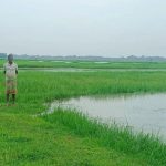 विराटनगरबाट गाँजासहित एक जना पक्राउ, एक जना पोखरीमा बेपत्ता