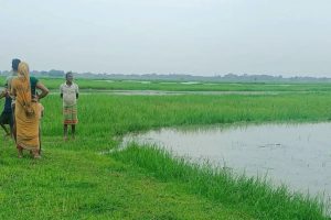 विराटनगरबाट गाँजासहित एक जना पक्राउ, एक जना पोखरीमा बेपत्ता