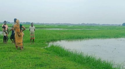 विराटनगरबाट गाँजासहित एक जना पक्राउ, एक जना पोखरीमा बेपत्ता
