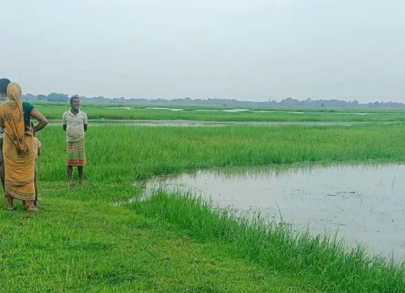 विराटनगरबाट गाँजासहित एक जना पक्राउ, एक जना पोखरीमा बेपत्ता