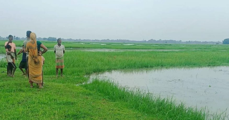 विराटनगरबाट गाँजासहित एक जना पक्राउ, एक जना पोखरीमा बेपत्ता