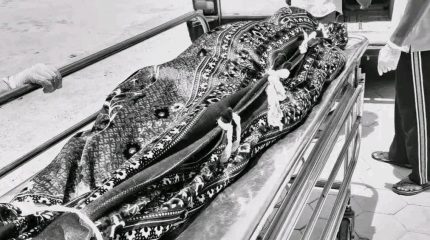झापामा कारको ठक्करबाट ९२ वर्षीया वृद्धाको मृत्यु
