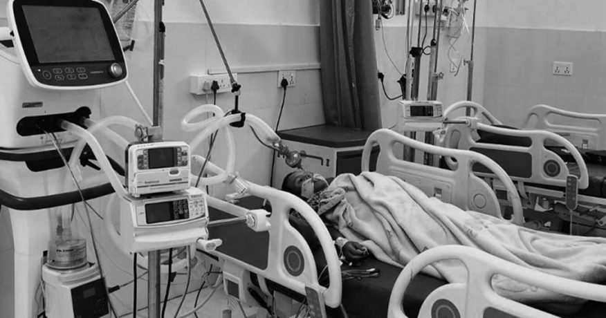 अम्बा टिप्ने क्रममा सर्पले डस्दा ८ वर्षीय बालकको मृत्यु