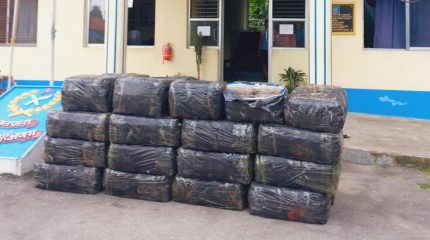 मोरङको रतुवामाईबाट एक हजार किलो गाँजासहित धनकुटाका उमेश पक्राउ