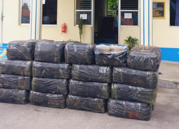 मोरङको रतुवामाईबाट एक हजार किलो गाँजासहित धनकुटाका उमेश पक्राउ