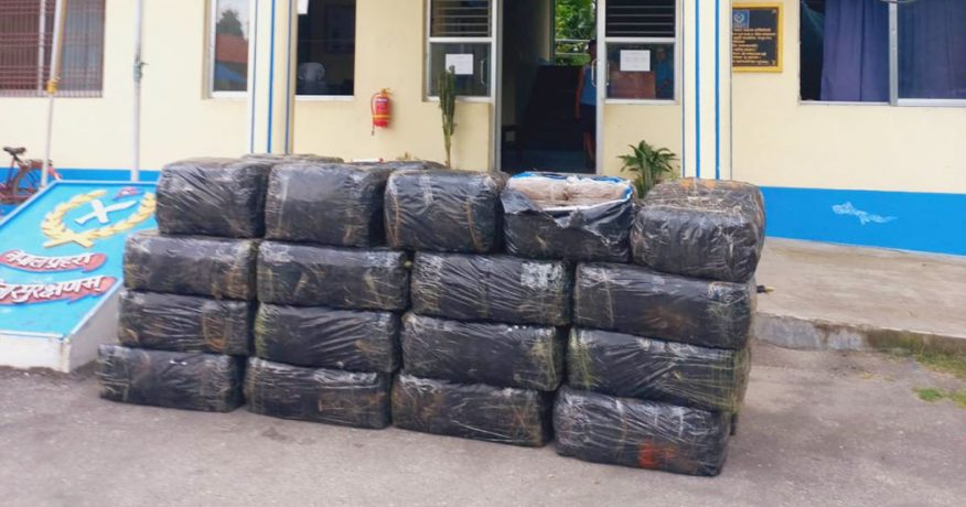 मोरङको रतुवामाईबाट एक हजार किलो गाँजासहित धनकुटाका उमेश पक्राउ