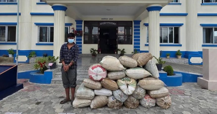 धनकुटाबाट १७५ किलाे गाँजासहित एक जना पक्राउ